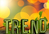 kaiyun.com-足球联赛直播平台用户数据创新高，足球主播平台