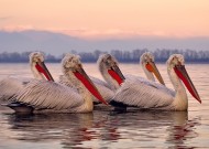 kaiyun.com-青少年足球联赛实现全程数字化监控与裁判，确保比赛公平公正，青少年全国足球比赛