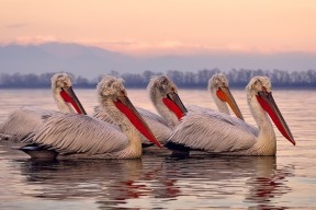 kaiyun.com-青少年足球联赛实现全程数字化监控与裁判，确保比赛公平公正，青少年全国足球比赛