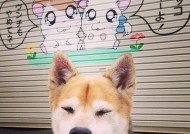 kaiyun开云·官方网站-沃尔夫斯堡进攻意图明确打出流畅配合，沃尔夫斯堡阵型