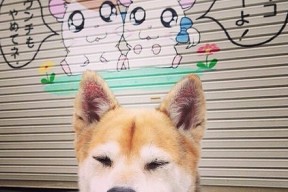 kaiyun开云·官方网站-沃尔夫斯堡进攻意图明确打出流畅配合，沃尔夫斯堡阵型
