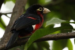 阿森纳青训再传喜讯，年轻天才不断涌现