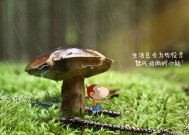 开云官方网页登录-CBA赛场上的囧事频出，球员们也有美好笑容，cba赛场上的囧事频出,球员们也有美好笑容吗