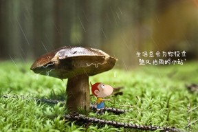 开云官方网页登录-CBA赛场上的囧事频出，球员们也有美好笑容，cba赛场上的囧事频出,球员们也有美好笑容吗