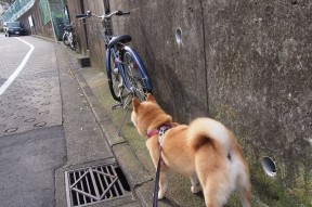 kaiyun官方网站-混合泳对决瑞士沉着冷静，混合泳视频