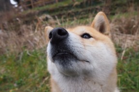 kaiyun体育app-本泽马关键进球，皇马绝杀巴塞罗那