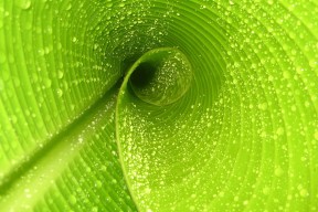 kaiyun官方网站-塞尔维亚女篮在欧洲锦标赛中展现霸气，夺取冠军荣耀，塞尔维亚女篮奥运表现