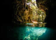 开云·Kaiyun网页版-职业联赛推广健康饮食管理辅助体能恢复