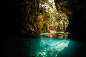 开云·Kaiyun网页版-职业联赛推广健康饮食管理辅助体能恢复