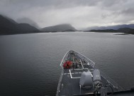 开云·体育官网APP下载-游泳动作与国际顶级标准接轨，游泳技术动作