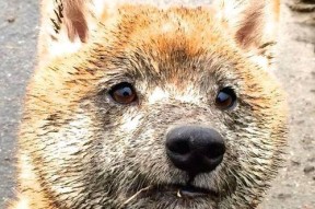 开云官方网站-勇士社区篮球课堂持续举办反响热烈，勇士少儿篮球培训班