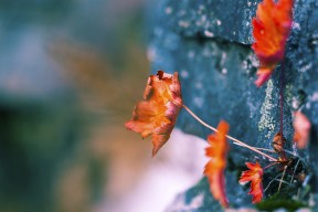 开云·体育官网-马拉松赛事视觉识别系统实现自动计时，马拉松视觉设计