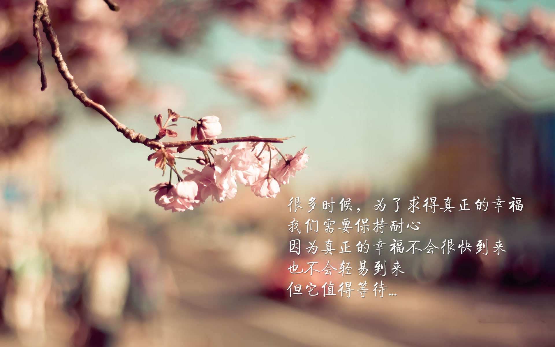 篮球裁判培训课程引入人工智能辅助，篮球裁判培训计划方案