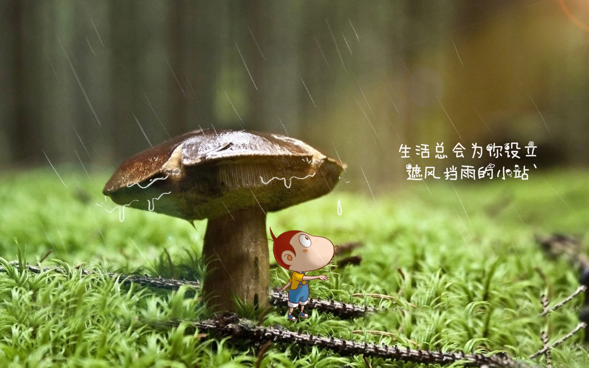 CBA赛场上的囧事频出，球员们也有美好笑容，cba赛场上的囧事频出,球员们也有美好笑容吗