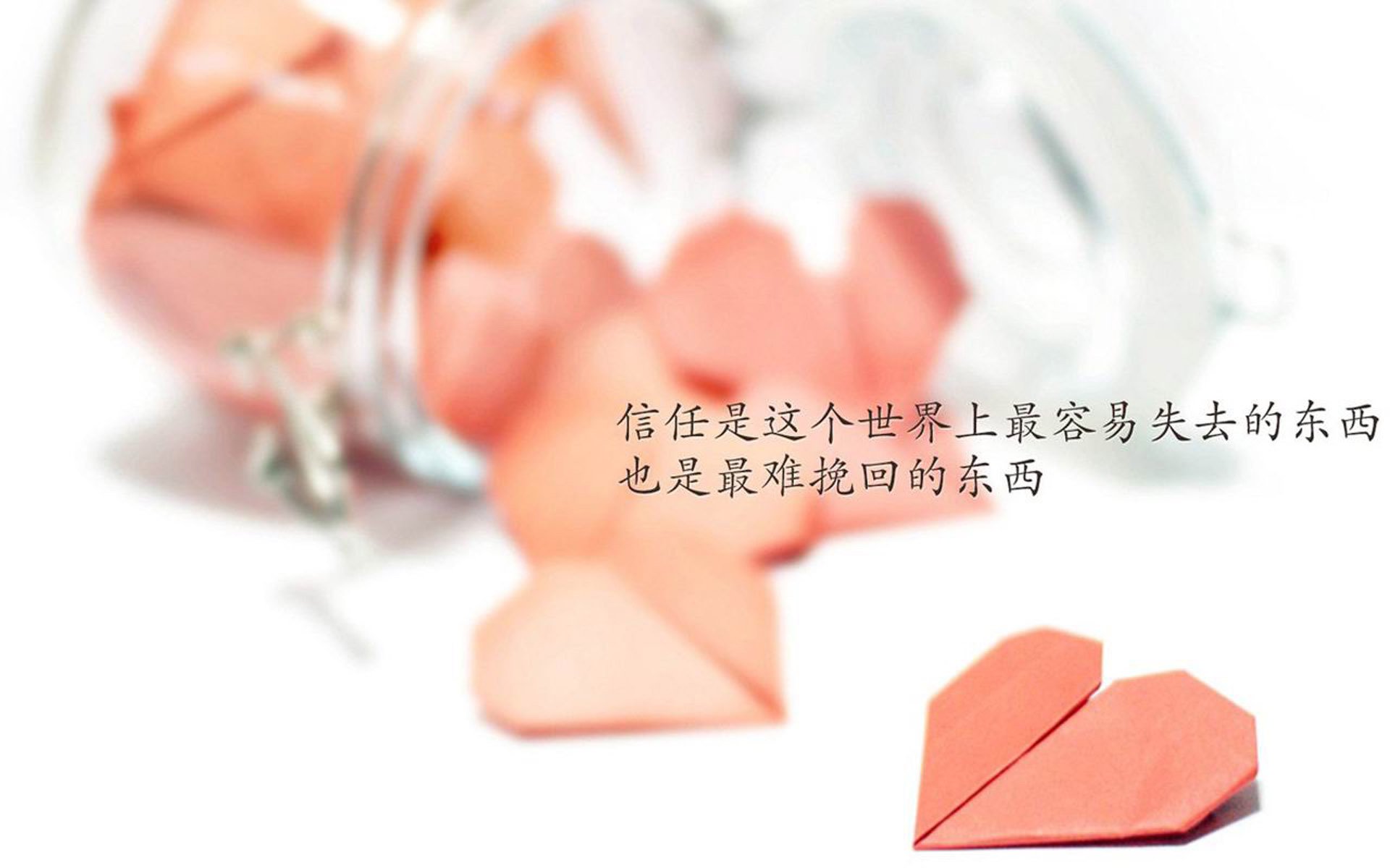 沃尔夫斯堡主场遭遇大败，危险走势，沃尔夫斯堡夺冠主力