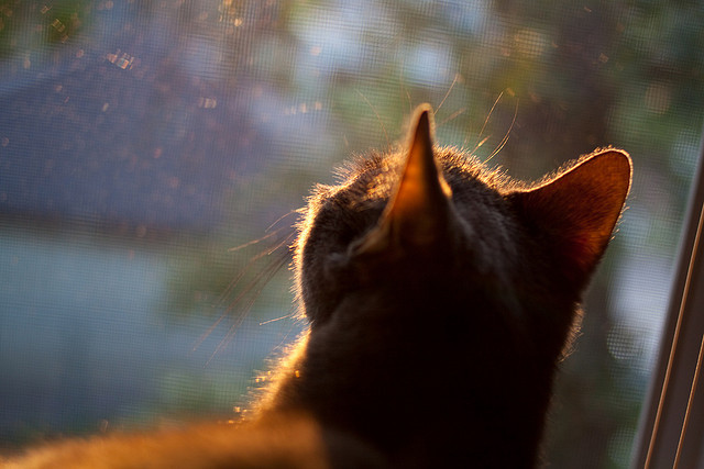 皇马新援初登场,表现平稳受到好评,皇马下赛季引援