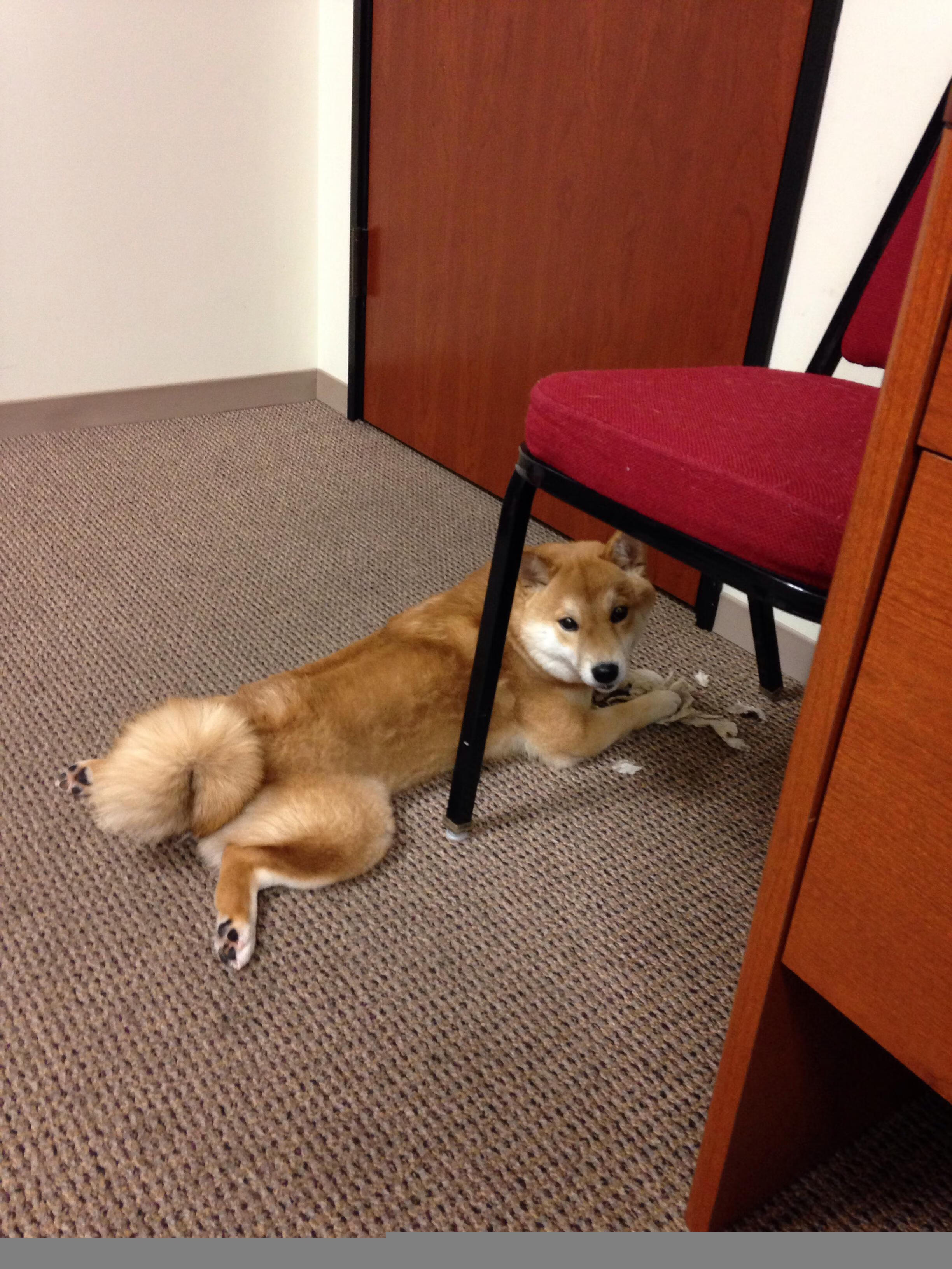 萨勒尼塔纳阵容轮换见成效，萨勒尼塔vs那不勒斯