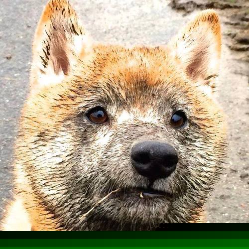 勇士社区篮球课堂持续举办反响热烈，勇士少儿篮球培训班