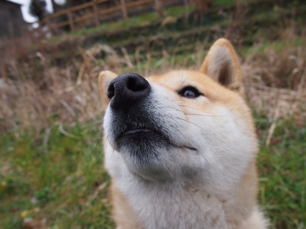 本泽马关键进球,皇马绝杀巴塞罗那