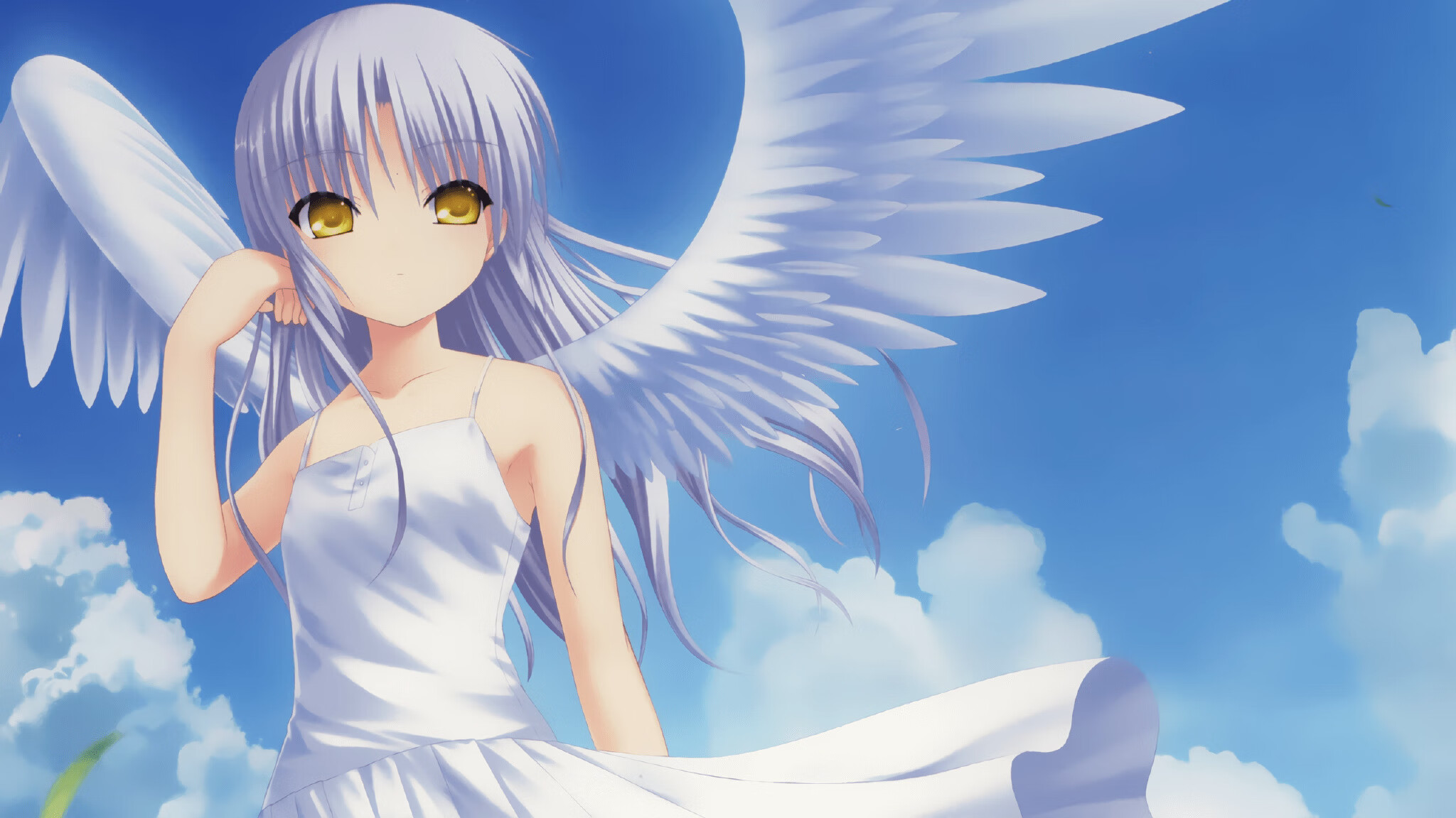 美洲杯激烈冲刺:逆境之中崛起的英雄们,美洲杯讲解