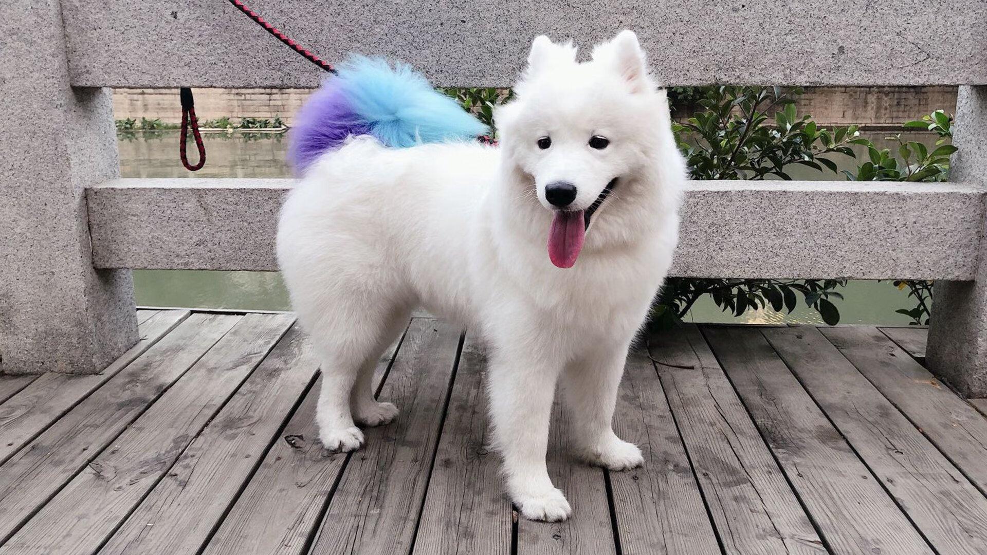 职业联赛推广健康饮食管理辅助体能恢复