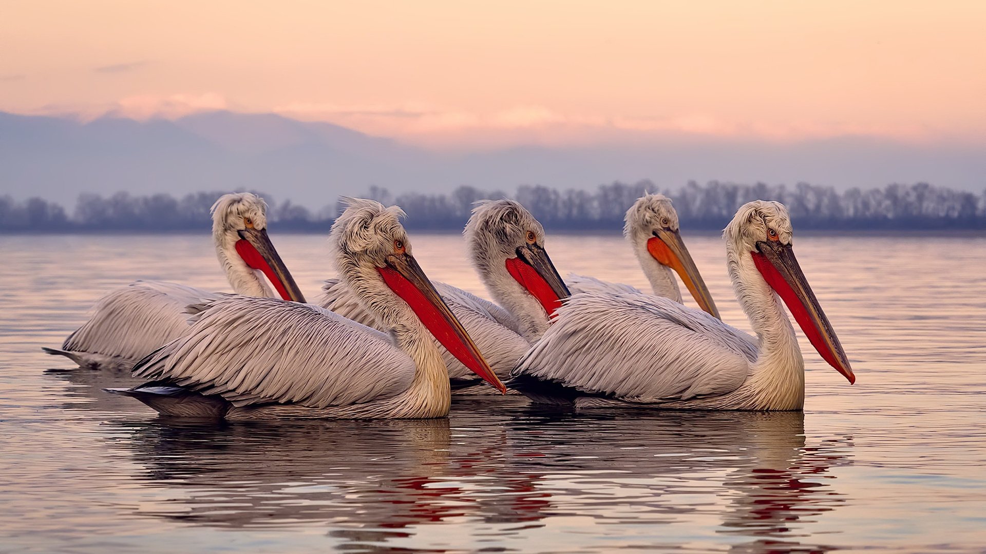 青少年足球联赛实现全程数字化监控与裁判,确保比赛公平公正,青少年全国足球比赛