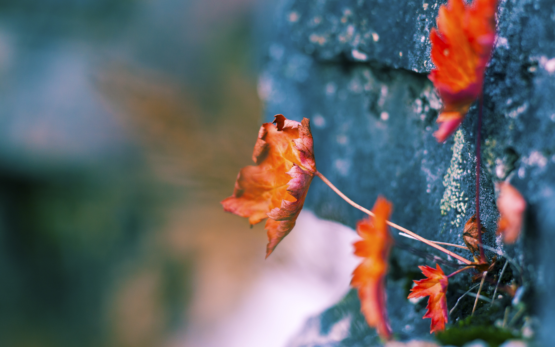 马拉松赛事视觉识别系统实现自动计时，马拉松视觉设计