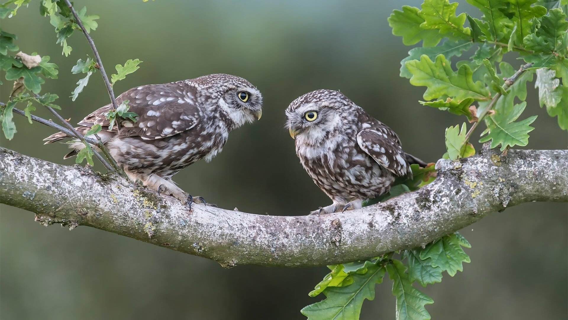 马拉松赛事视觉识别系统实现自动计时，马拉松视觉设计
